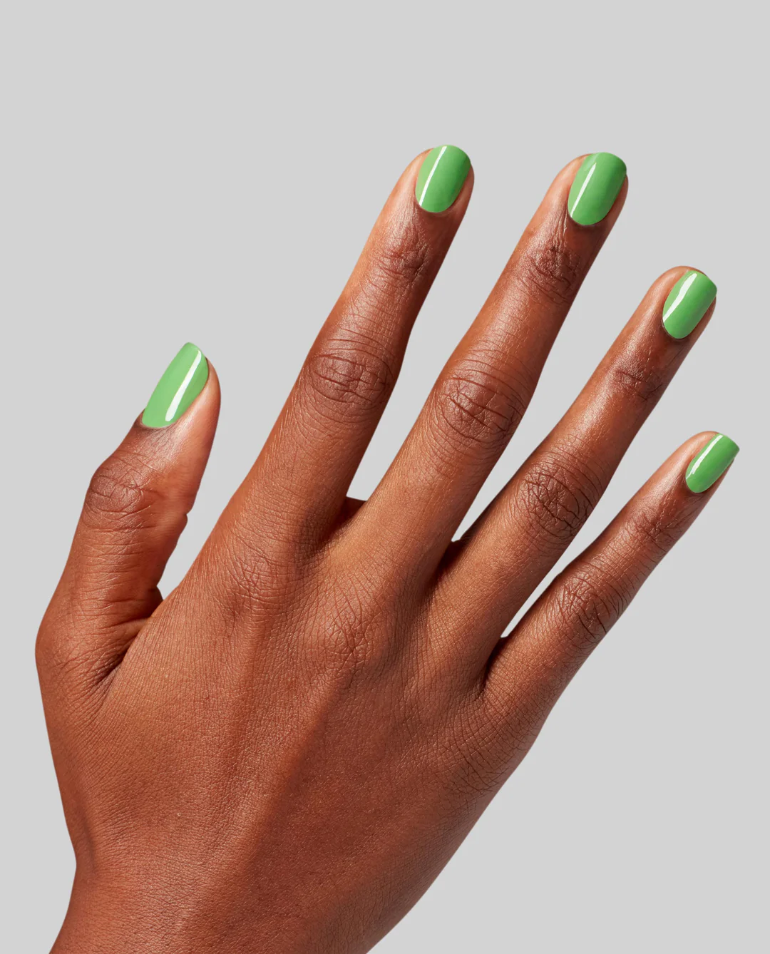 Jelly Green with Envy Make 'Em Jelly!: Jelly Green with Envy