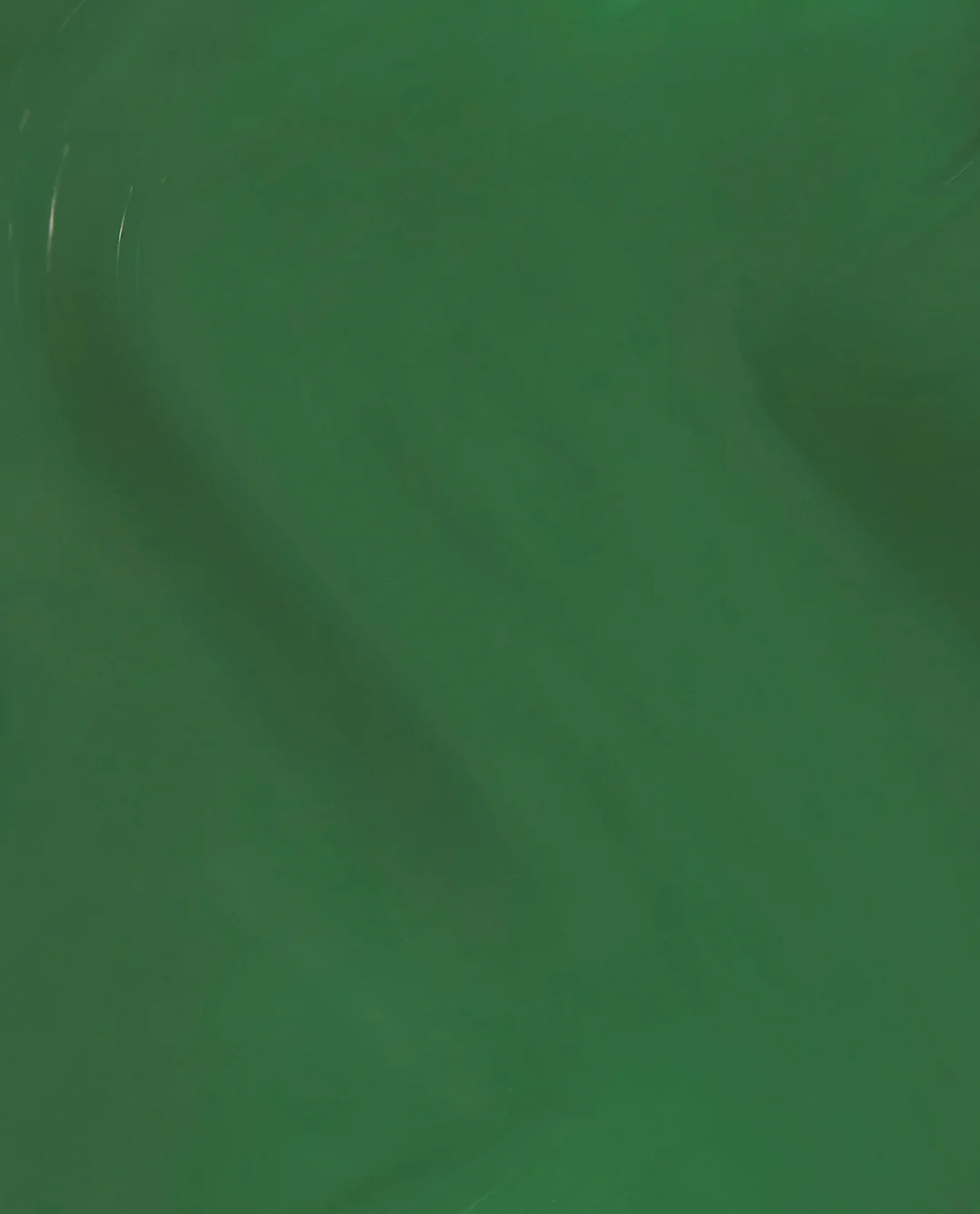 OPI’m a Supermodel What's Your Mani-tude?: OPI’m a Supermodel