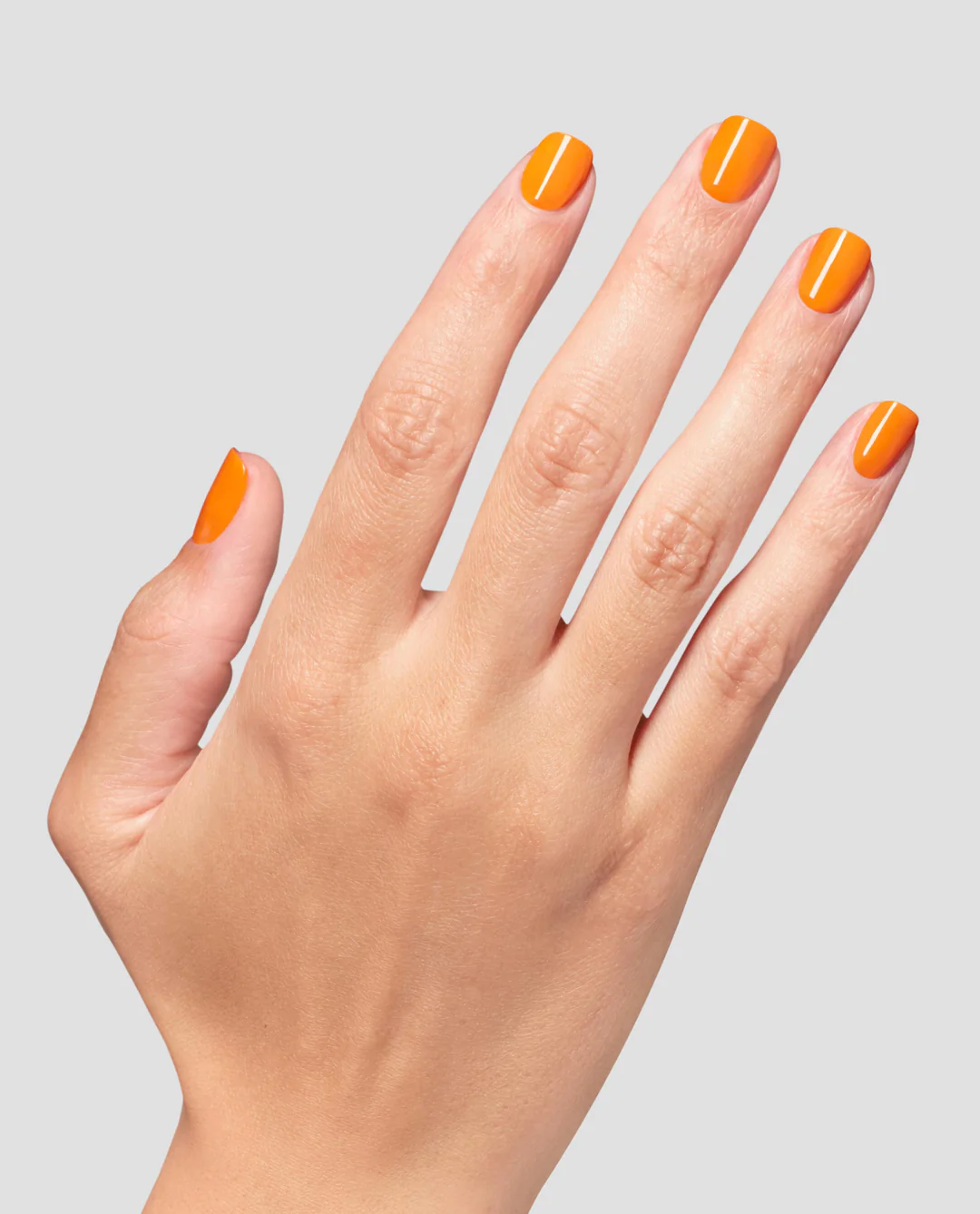 Vogue Into the Sunset Make 'Em Jelly!: Vogue Into the Sunset