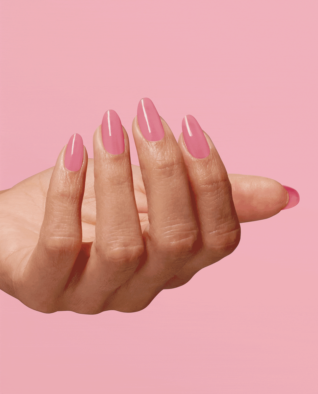 Flamingo Your Own Way Infinite Shine: Flamingo Your Own Way 4 Flamingo Your Own Way Infinite Shine: Flamingo Your Own Way