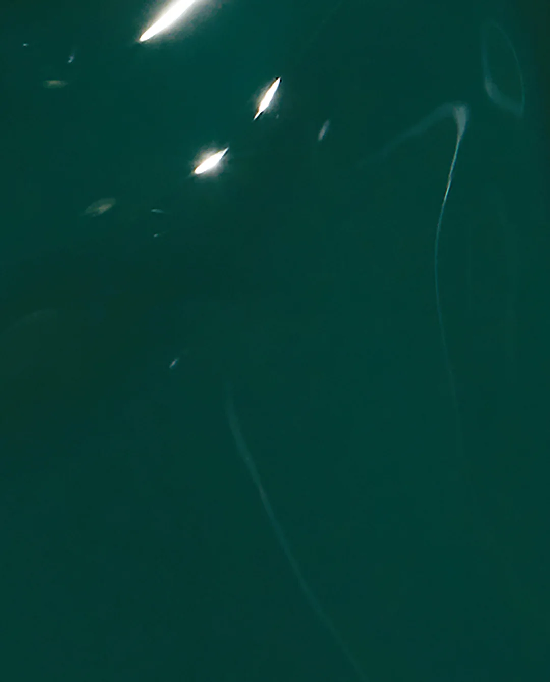 Leaf by Example Nature Strong: Leaf by Example 3 Leaf by Example Nature Strong: Leaf by Example