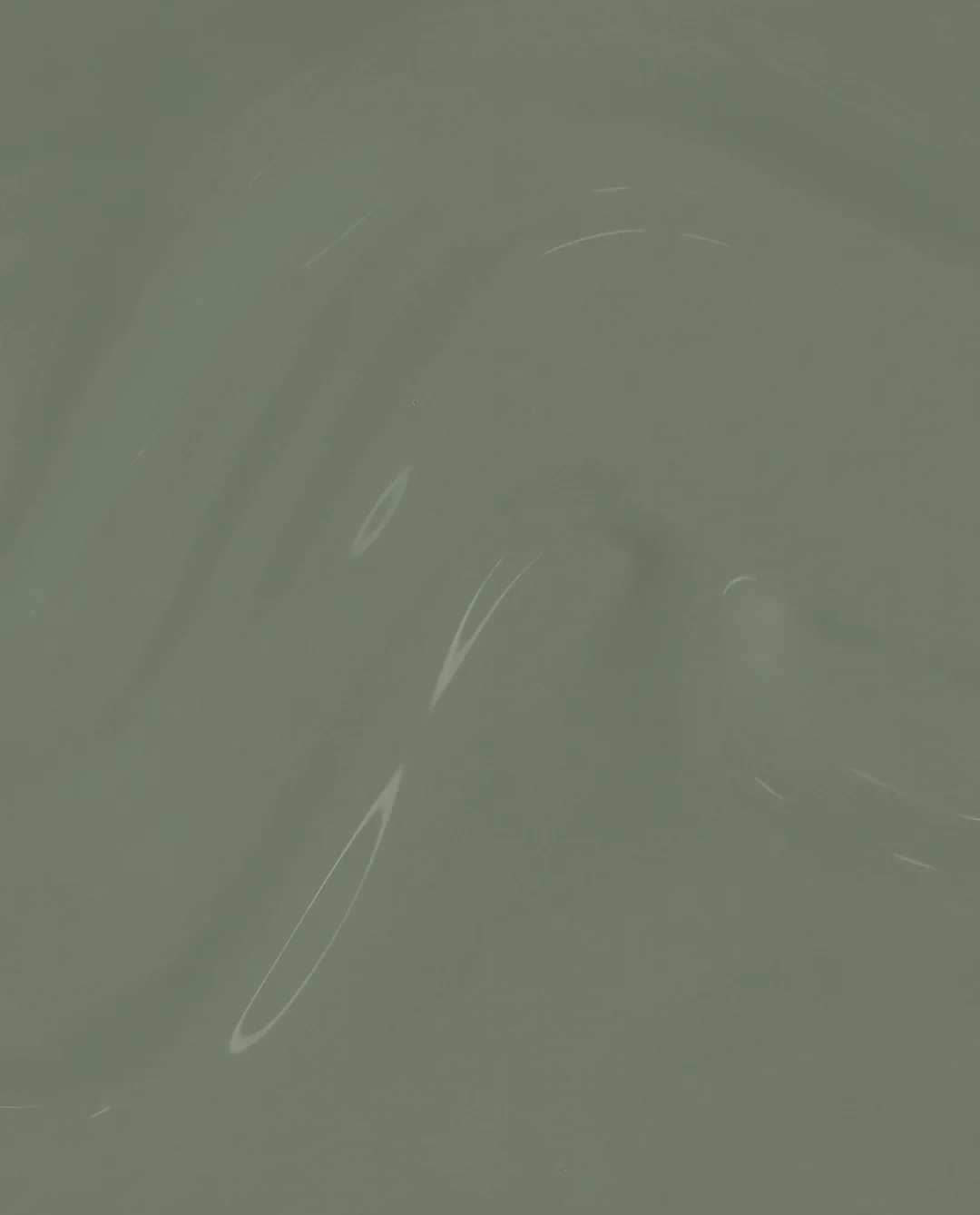 Cargo All Out What's Your Mani-tude?: Cargo All Out 3 Cargo All Out What's Your Mani-tude?: Cargo All Out