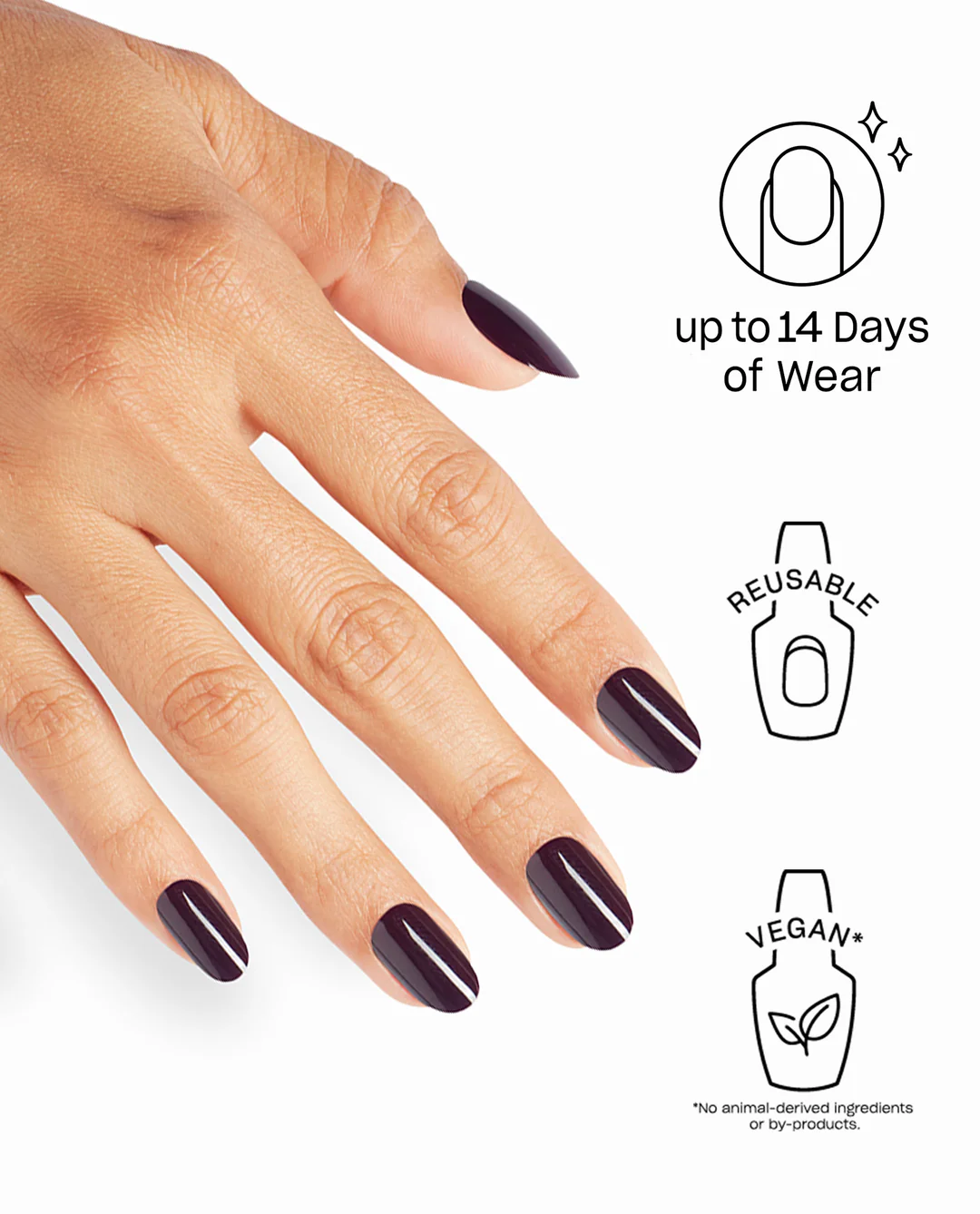 O Suzi Mio 4 O Suzi Mio