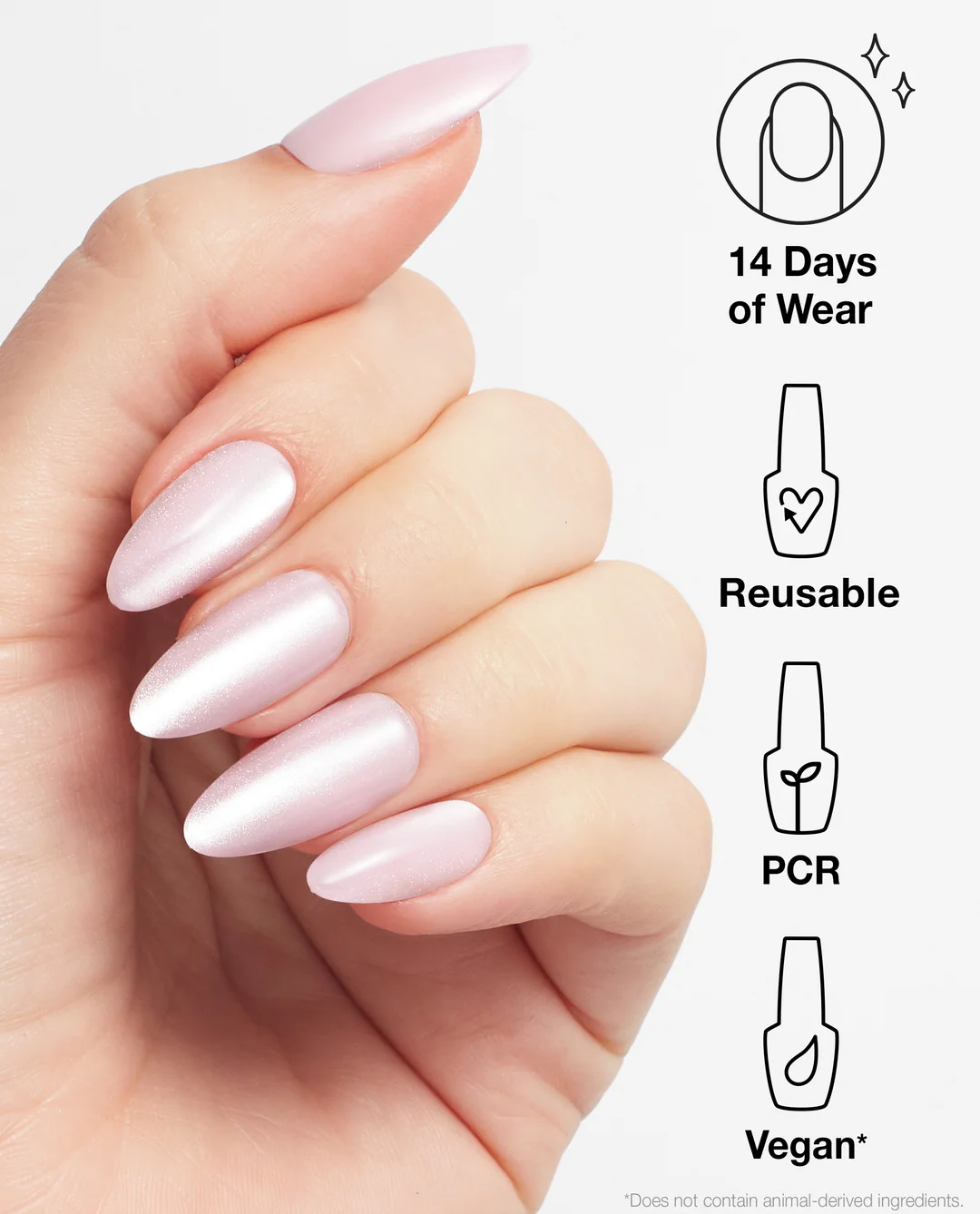 Editor in Chic 4 Editor in Chic