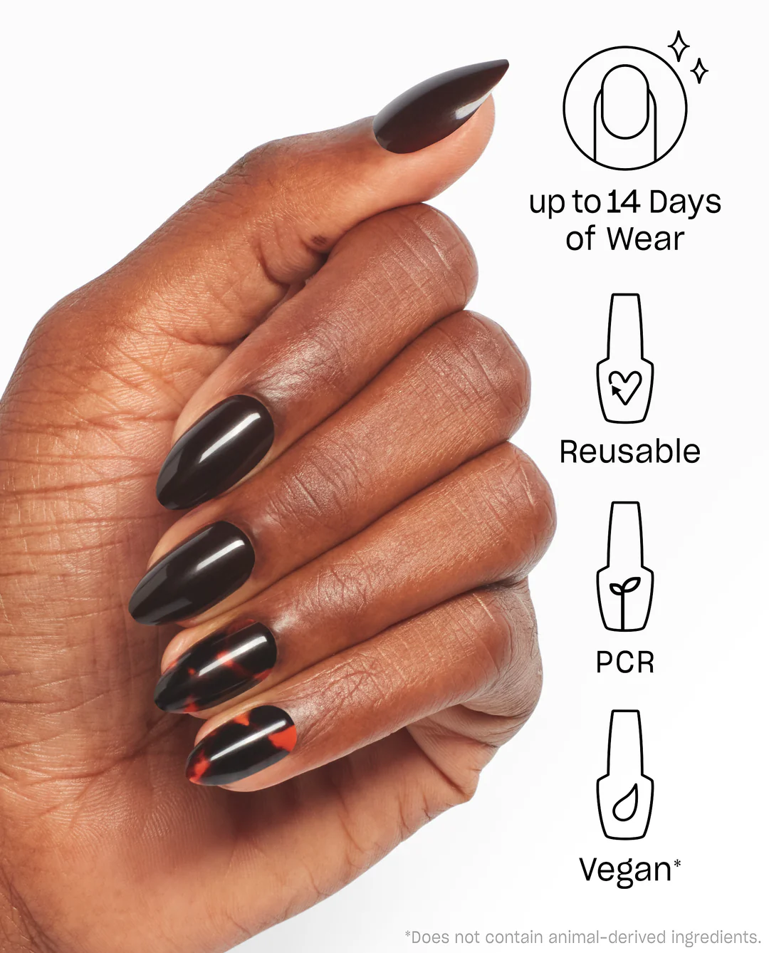 This Turtle Bytes 4 This Turtle Bytes