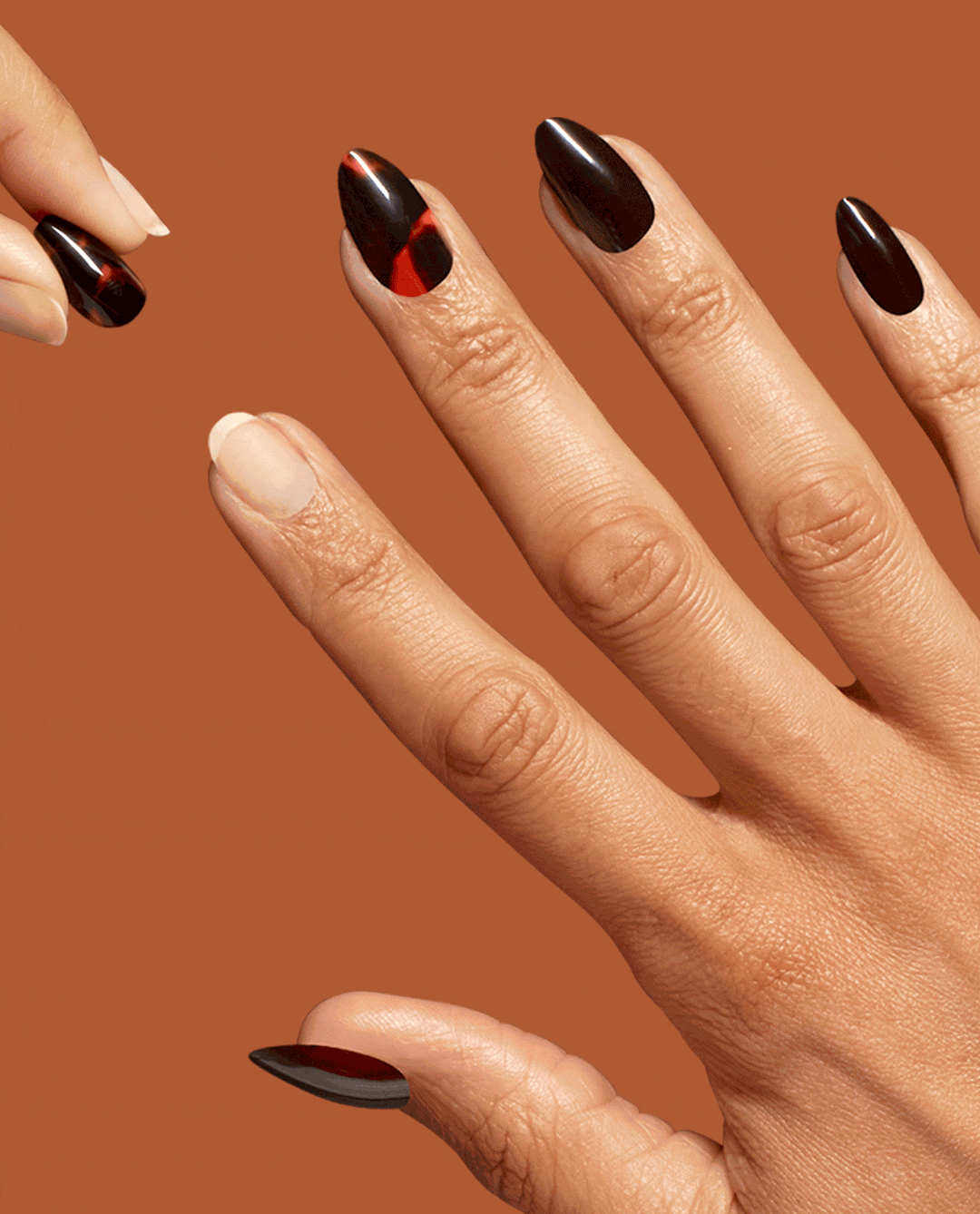 This Turtle Bytes 5 This Turtle Bytes