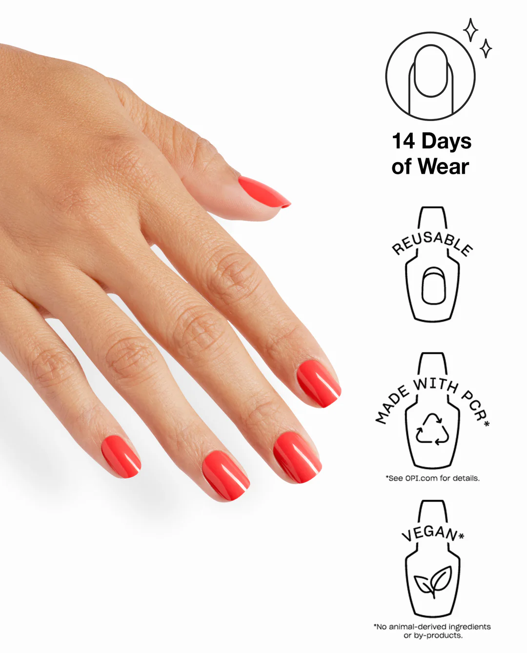 Cajun Shrimp® 4 Cajun Shrimp®