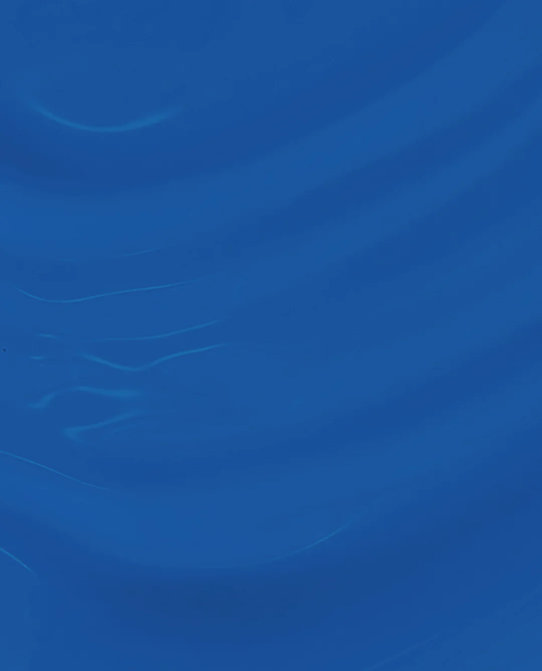 Shore is Something! Nature Strong: Shore is Something! 3 Shore is Something! Nature Strong: Shore is Something!