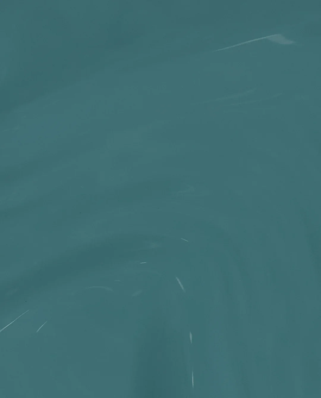 Baby Tee-l What's Your Mani-tude?: Baby Tee-l