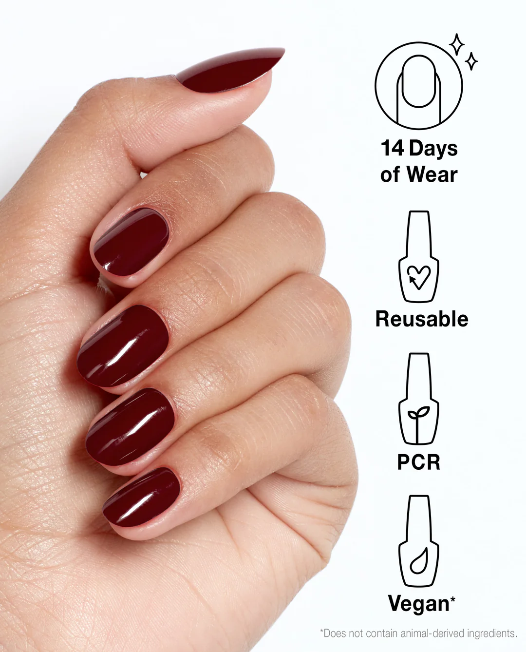 Linger Over Coffee 4 Linger Over Coffee