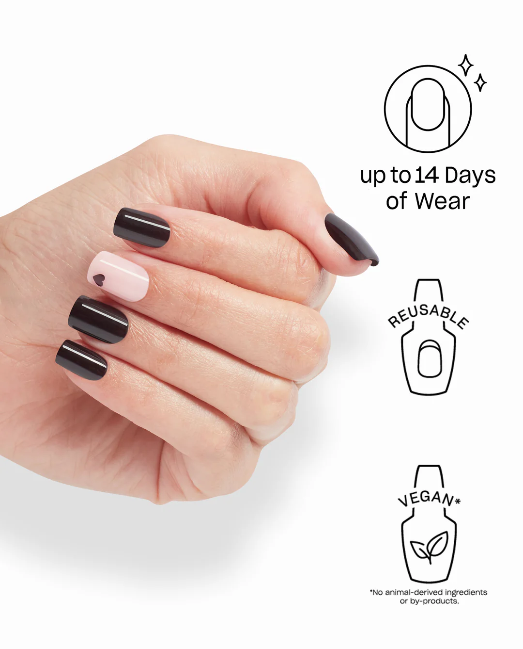 Lincoln Park After Heart 4 Lincoln Park After Heart