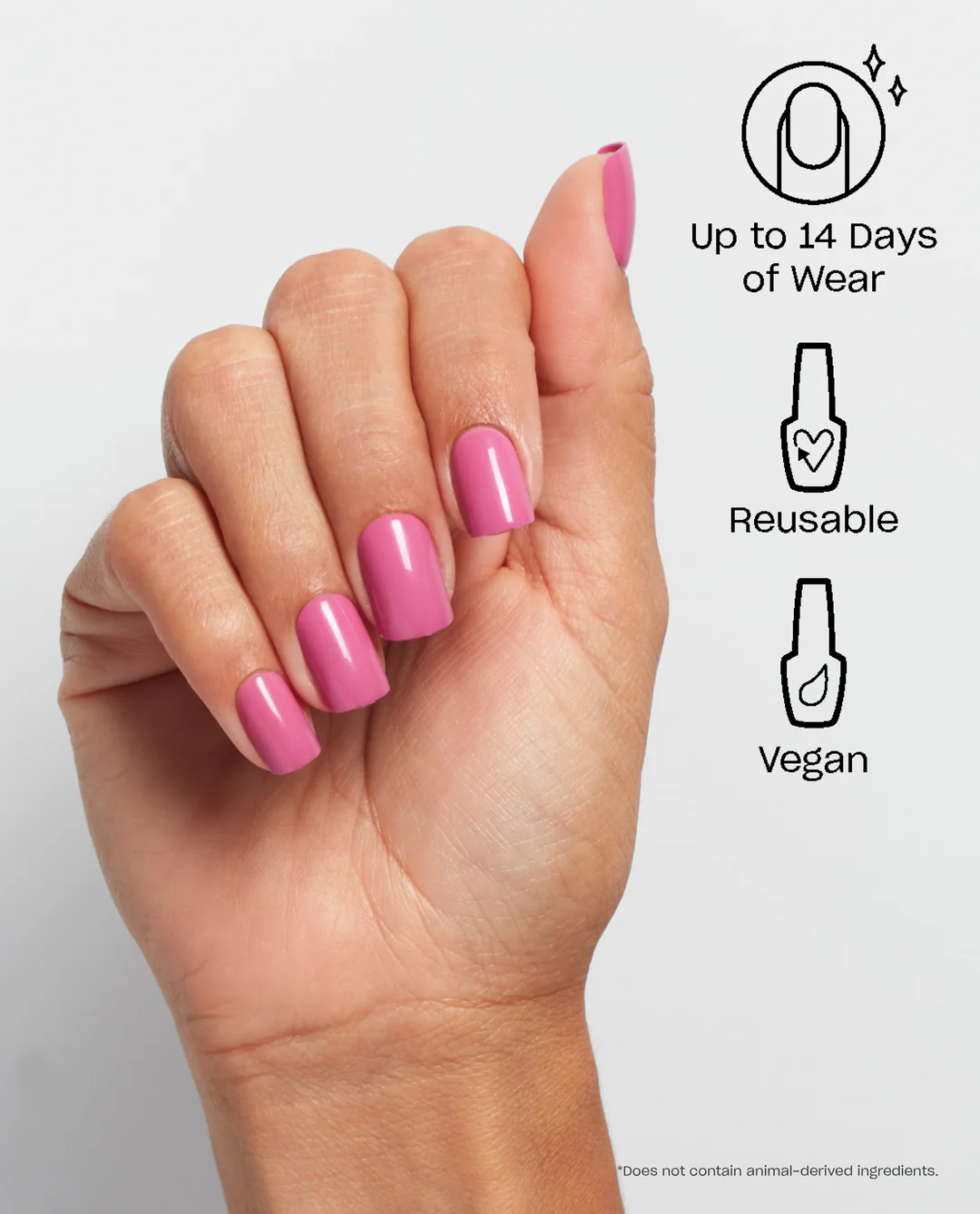 Lucky Lucky Lavender 4 Lucky Lucky Lavender