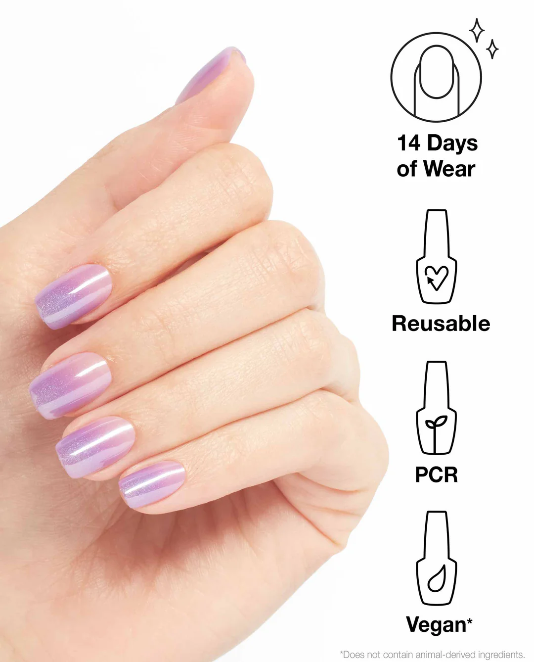 Libra on Chic 4 Libra on Chic