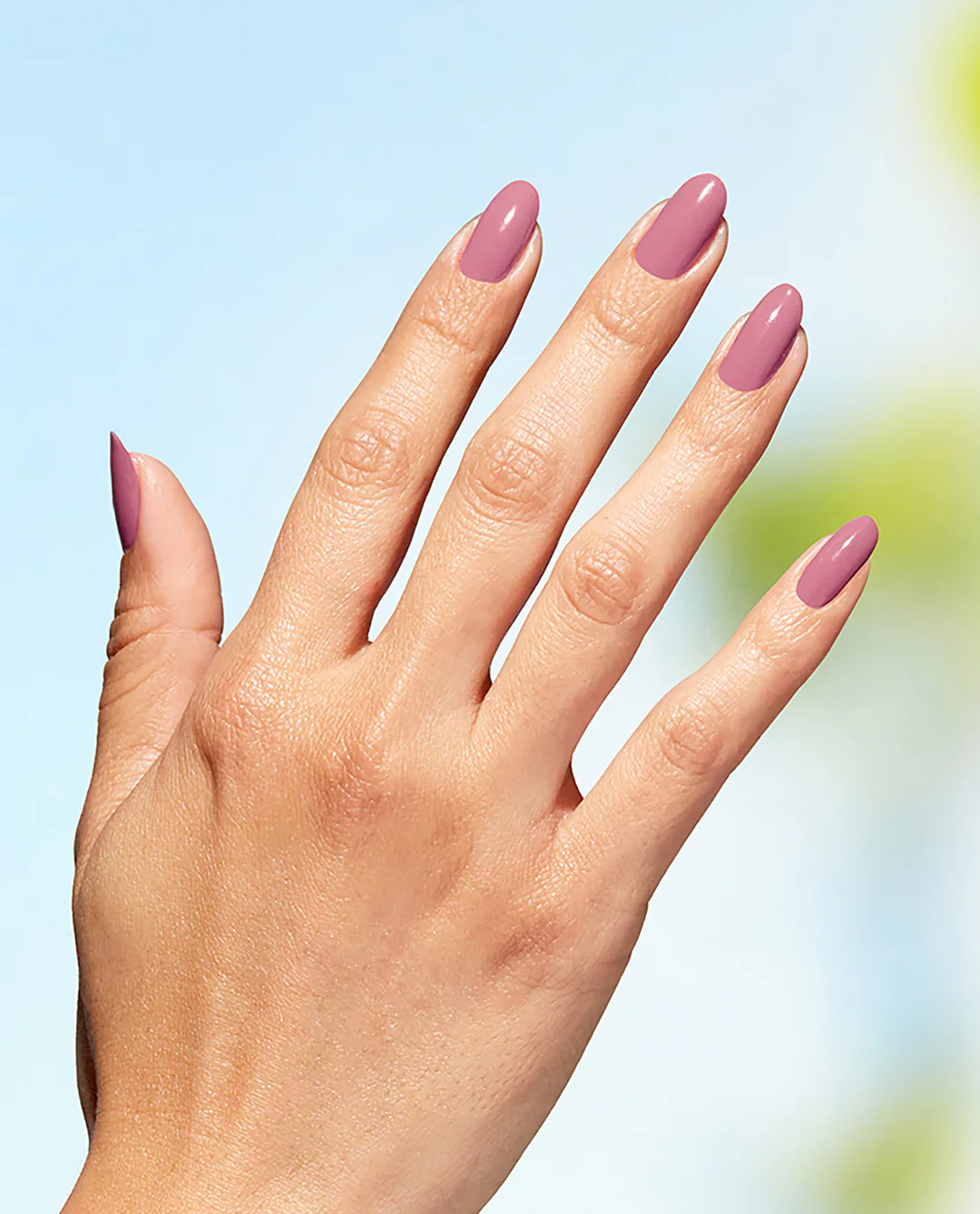 Knowledge is Flower Nature Strong: Knowledge is Flower