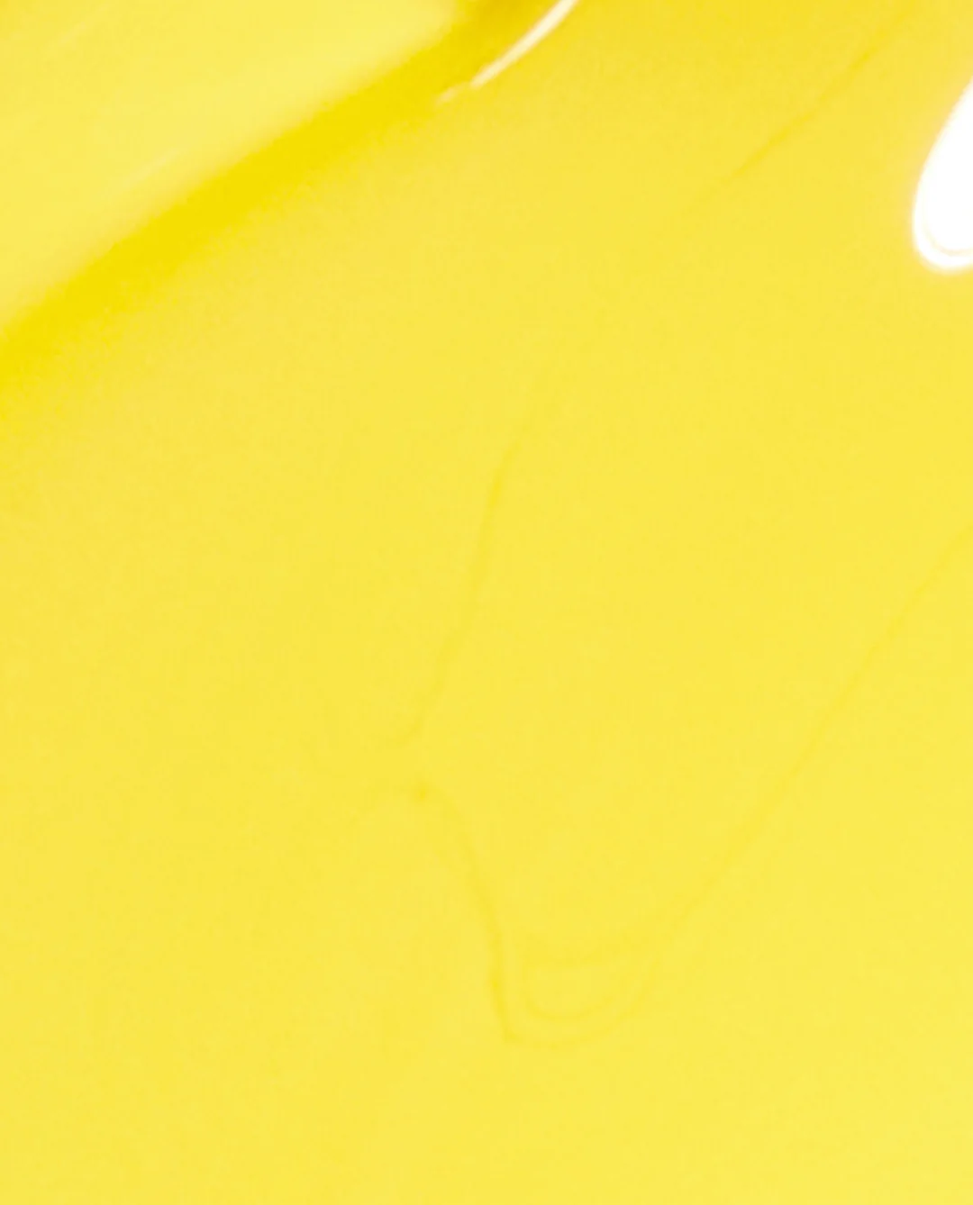 Exotic Birds Do Not Tweet Fiji: Exotic Birds Do Not Tweet 3 Exotic Birds Do Not Tweet Fiji: Exotic Birds Do Not Tweet