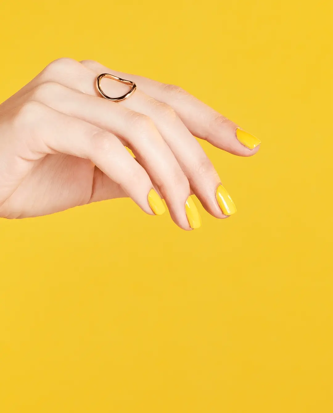 Exotic Birds Do Not Tweet Fiji: Exotic Birds Do Not Tweet 4 Exotic Birds Do Not Tweet Fiji: Exotic Birds Do Not Tweet