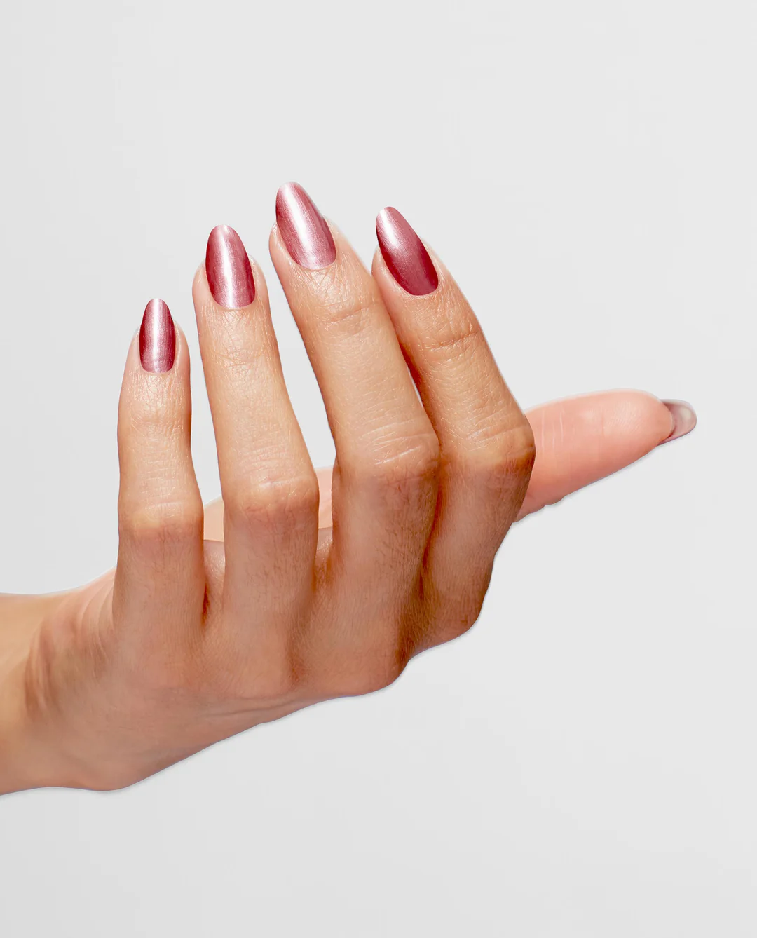 Chicago Champaign Toast Infinite Shine: Chicago Champaign Toast