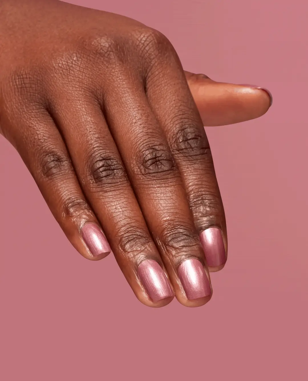 Chicago Champaign Toast Infinite Shine: Chicago Champaign Toast