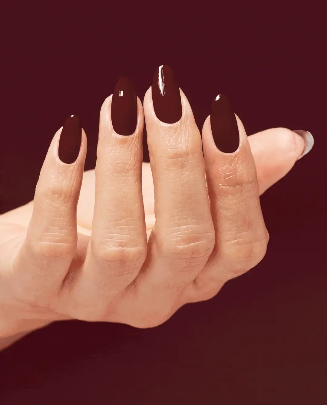 Raisin' The Bar Infinite Shine: Raisin' The Bar