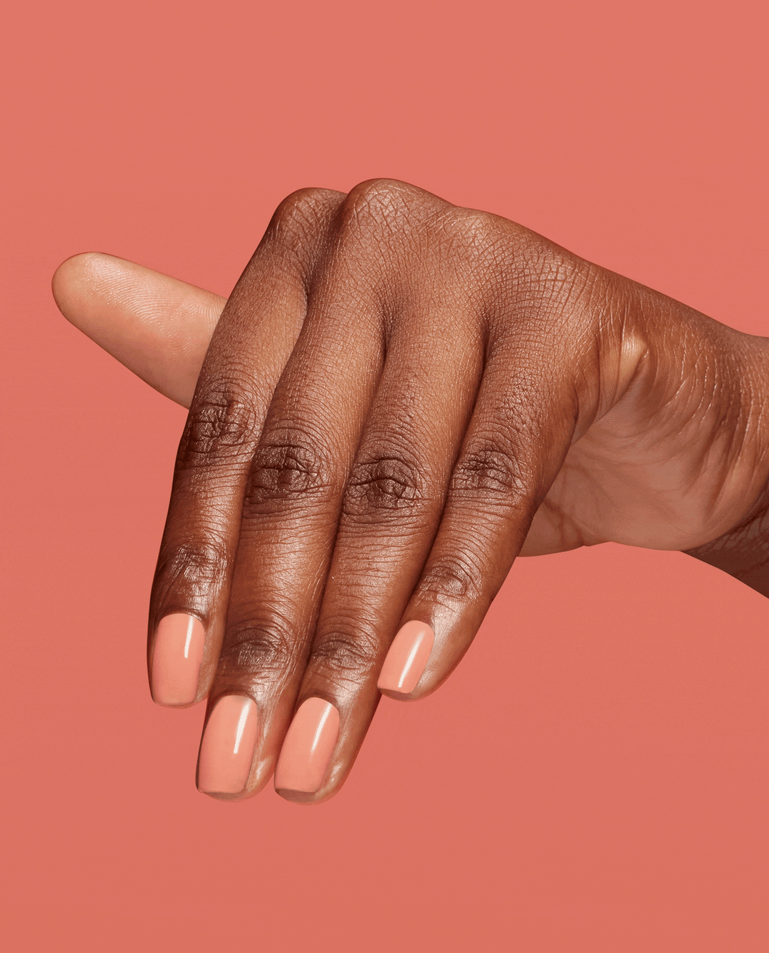 A Sherbert Thing Infinite Shine: A Sherbert Thing 4 A Sherbert Thing Infinite Shine: A Sherbert Thing